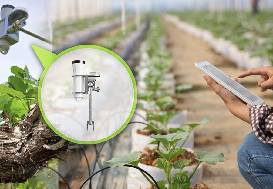 IoT en la agricultura de precisión