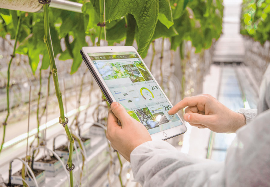 Agricultura de Precisión con IoT en Perú